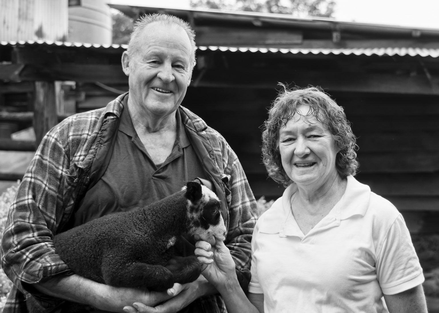 About Cambray Cheese